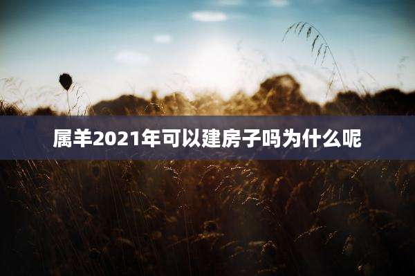 属羊2021年可以建房子吗为什么呢