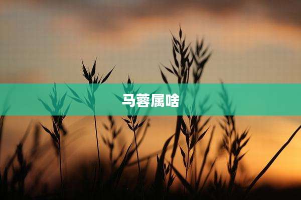 马蓉属啥