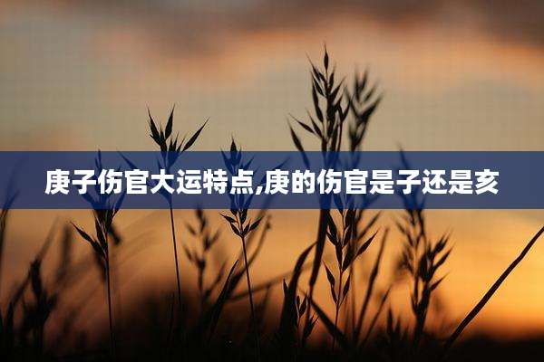 庚子伤官大运特点,庚的伤官是子还是亥