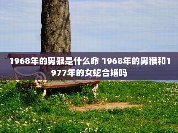 1968年的男猴是什么命 1968年的男猴和1977年的女蛇合婚吗
