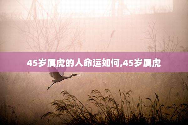 45岁属虎的人命运如何,45岁属虎