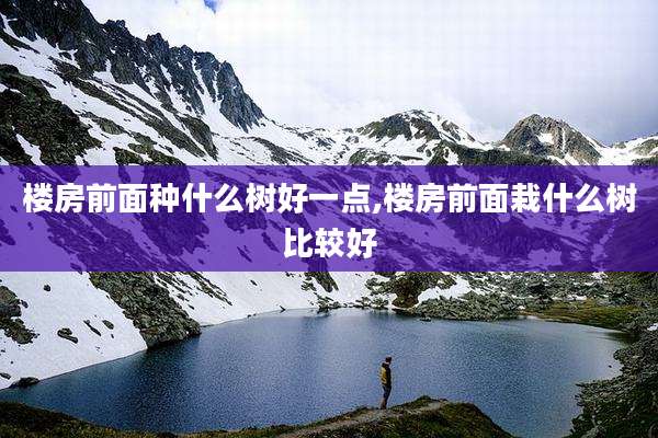 楼房前面种什么树好一点,楼房前面栽什么树比较好