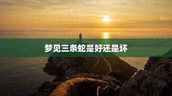梦见三条蛇是好还是坏