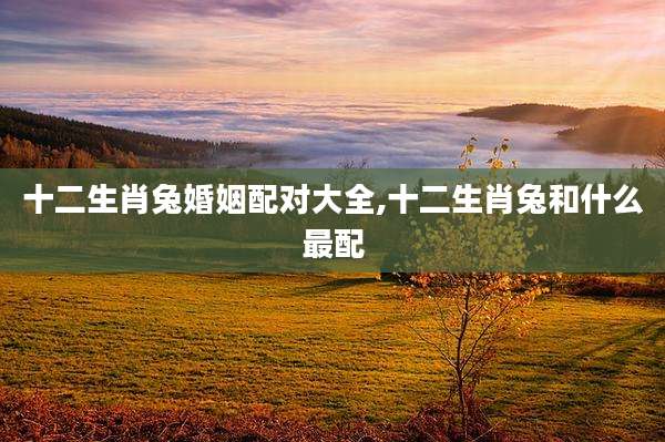 十二生肖兔婚姻配对大全,十二生肖兔和什么最配