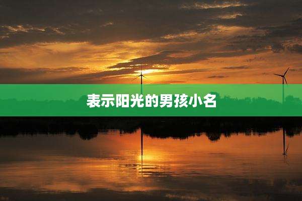 表示阳光的男孩小名