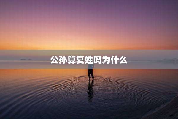 公孙算复姓吗为什么
