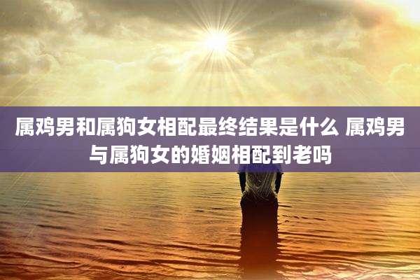 属鸡男和属狗女相配最终结果是什么 属鸡男与属狗女的婚姻相配到老吗