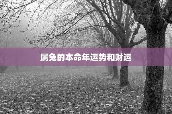 属兔的本命年运势和财运