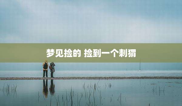 梦见捡的 捡到一个刺猬