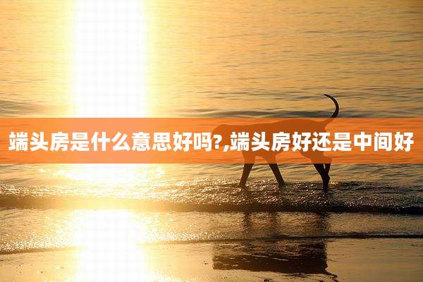 端头房是什么意思好吗?,端头房好还是中间好