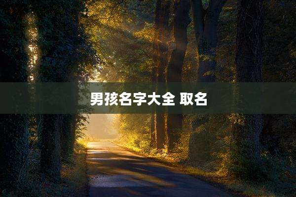 男孩名字大全 取名
