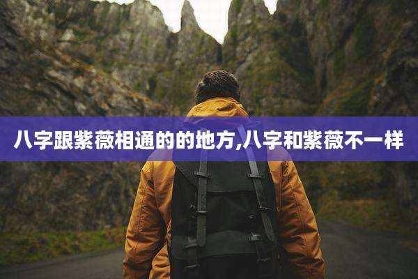 八字跟紫薇相通的的地方,八字和紫薇不一样
