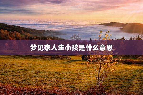 梦见家人生小孩是什么意思