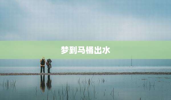 梦到马桶出水