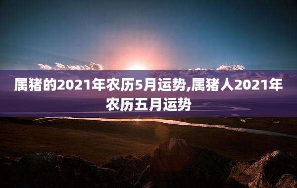 属猪的2021年农历5月运势,属猪人2021年农历五月运势