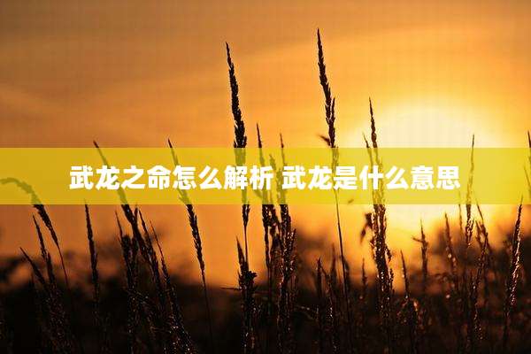 武龙之命怎么解析 武龙是什么意思