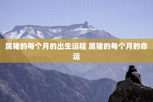 属猪的每个月的出生运程 属猪的每个月的命运