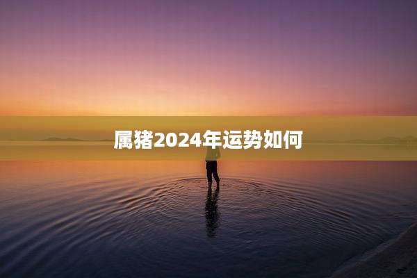 属猪2024年运势如何