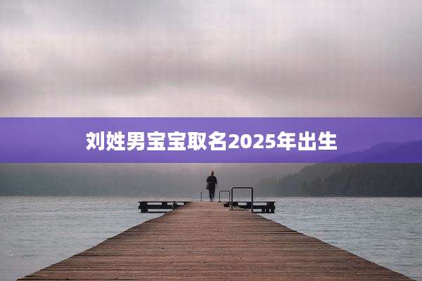 刘姓男宝宝取名2025年出生