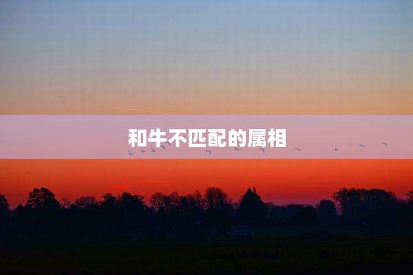 和牛不匹配的属相