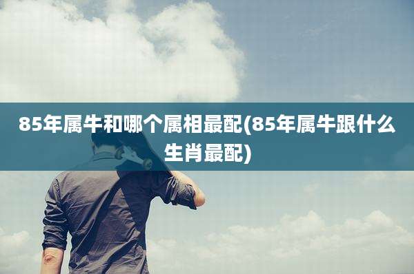 85年属牛和哪个属相最配(85年属牛跟什么生肖最配)