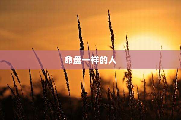 命盘一样的人