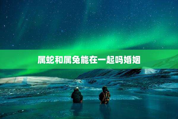 属蛇和属兔能在一起吗婚姻