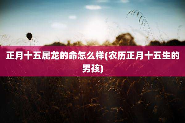 正月十五属龙的命怎么样(农历正月十五生的男孩)