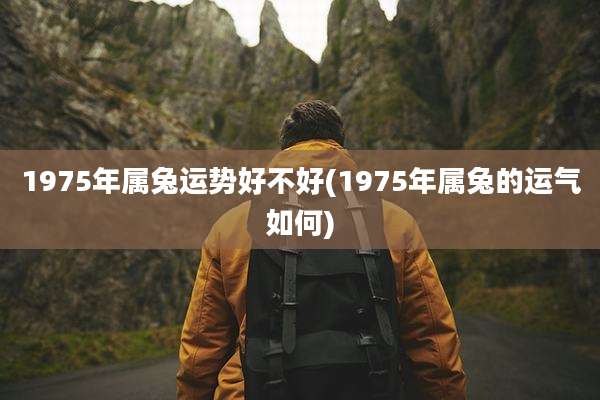 1975年属兔运势好不好(1975年属兔的运气如何)