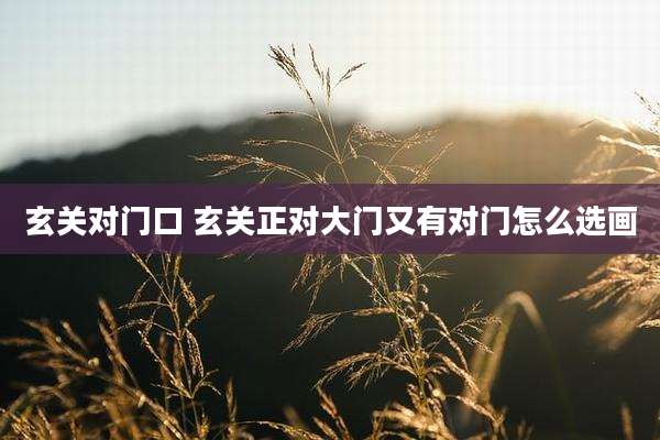 玄关对门口 玄关正对大门又有对门怎么选画