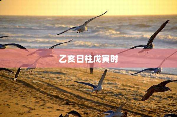 乙亥日柱戊寅时