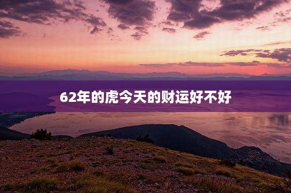 62年的虎今天的财运好不好