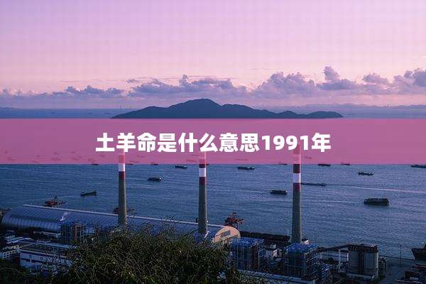 土羊命是什么意思1991年