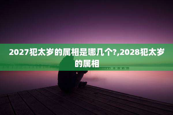 2027犯太岁的属相是哪几个?,2028犯太岁的属相