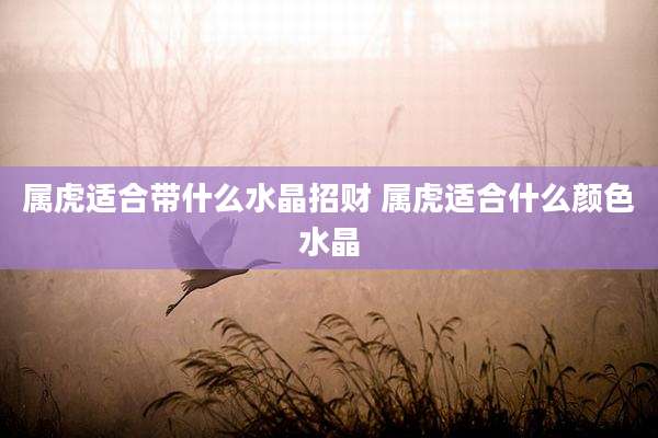 属虎适合带什么水晶招财 属虎适合什么颜色水晶