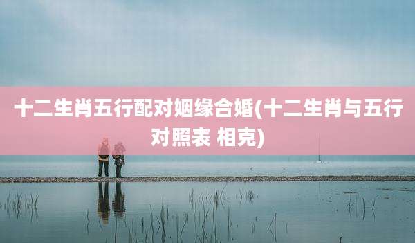 十二生肖五行配对姻缘合婚(十二生肖与五行对照表 相克)