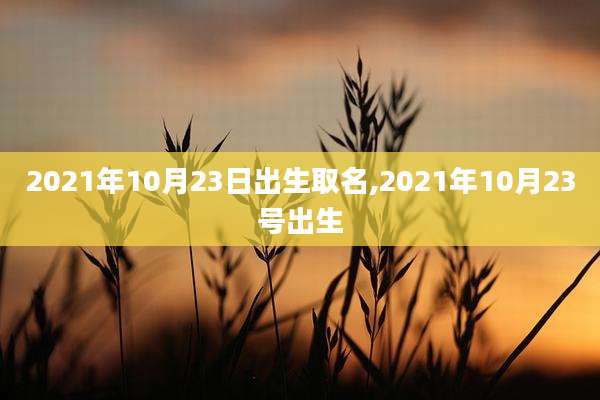 2021年10月23日出生取名,2021年10月23号出生