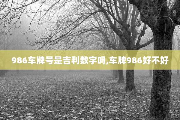 986车牌号是吉利数字吗,车牌986好不好