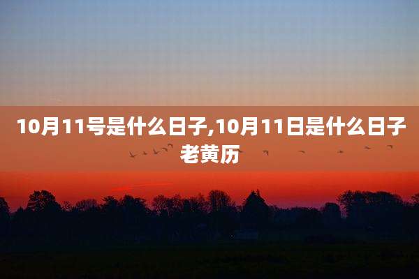 10月11号是什么日子,10月11日是什么日子老黄历