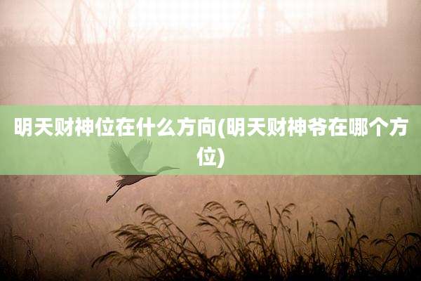 明天财神位在什么方向(明天财神爷在哪个方位)