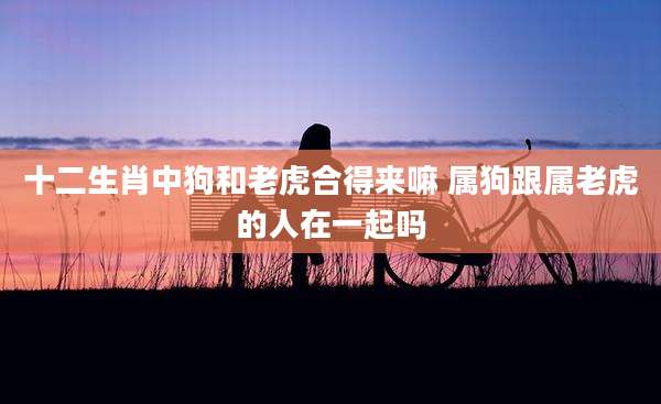 十二生肖中狗和老虎合得来嘛 属狗跟属老虎的人在一起吗