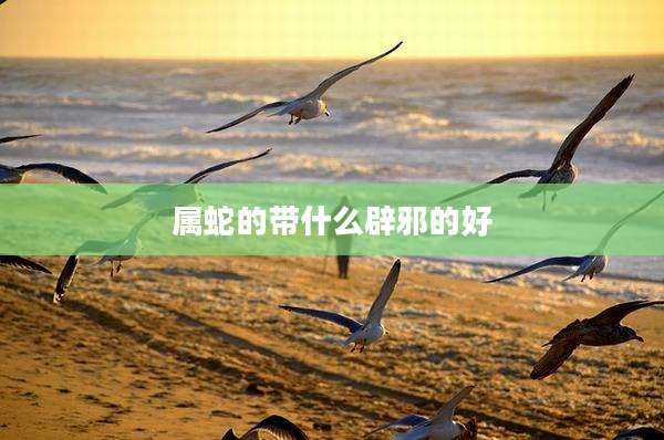 属蛇的带什么辟邪的好