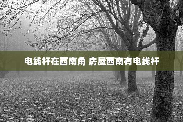 电线杆在西南角 房屋西南有电线杆