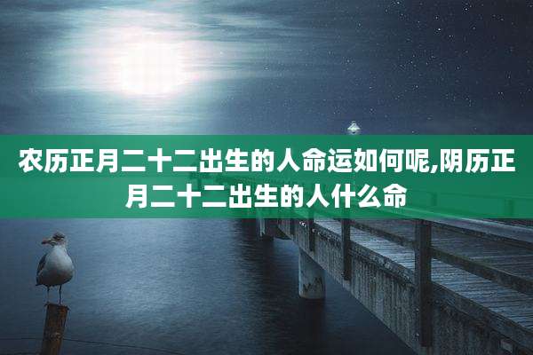 农历正月二十二出生的人命运如何呢,阴历正月二十二出生的人什么命