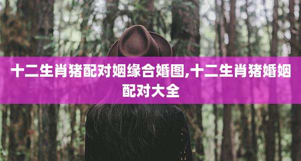 十二生肖猪配对姻缘合婚图,十二生肖猪婚姻配对大全