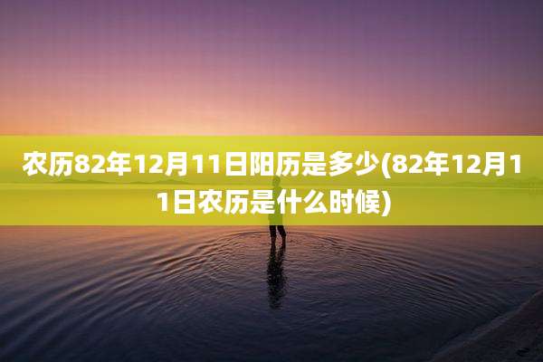 农历82年12月11日阳历是多少(82年12月11日农历是什么时候)