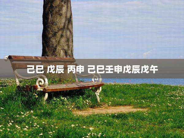 己巳 戊辰 丙申 己巳壬申戊辰戊午