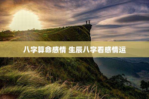 八字算命感情 生辰八字看感情运