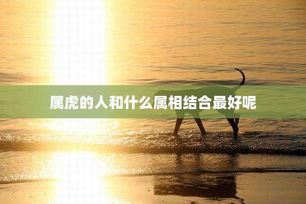 属虎的人和什么属相结合最好呢
