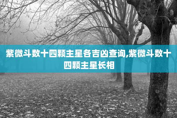 紫微斗数十四颗主星各吉凶查询,紫微斗数十四颗主星长相